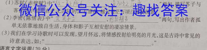 安徽省2023-2024学年第一学期七年级期中教学质量检测/语文