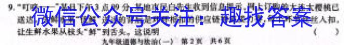 河南省南阳地区12月高二年级阶段测试考试卷(24-248B)政治~