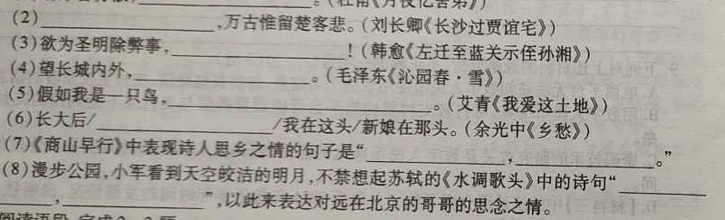 2024届单科模拟03语文
