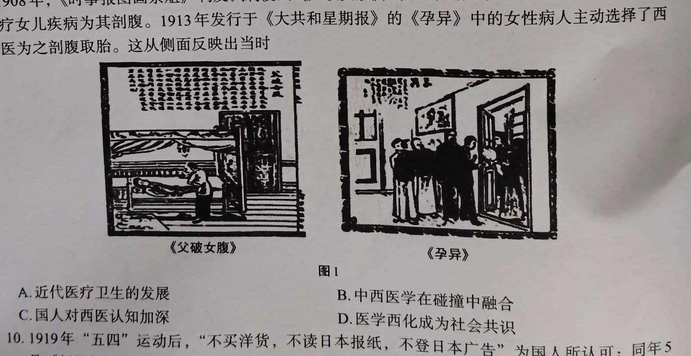 九师联盟2024届高三10月质量检测巩固卷LG历史