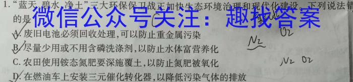 【精品】陕西省2023~2024学年度九年级第一学期期中阶段测试卷化学