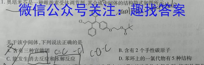 32023-2024学年高一试卷12月百万联考(齿轮)化学试题