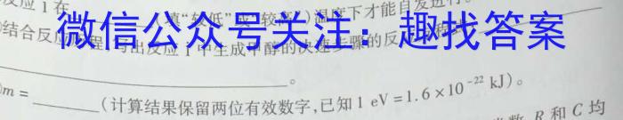 32024年普通高等学校招生全国统一考试仿真模拟卷(一)化学试题