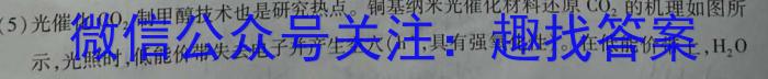 q陕西省2023-2024学年度第一学期七年级阶段性学习效果评估（一）化学