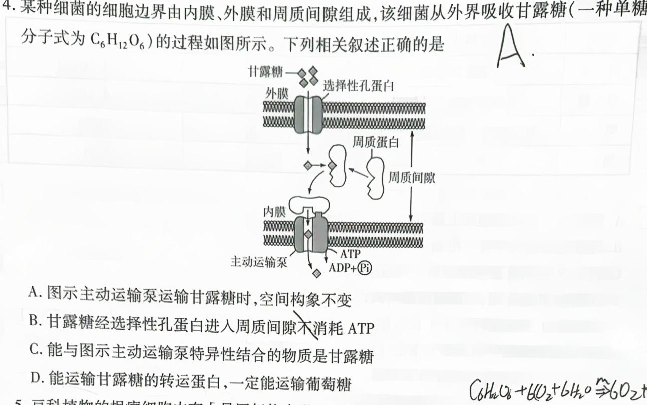 安徽省2023-2024学年度第一学期九年级学情调研（二）生物