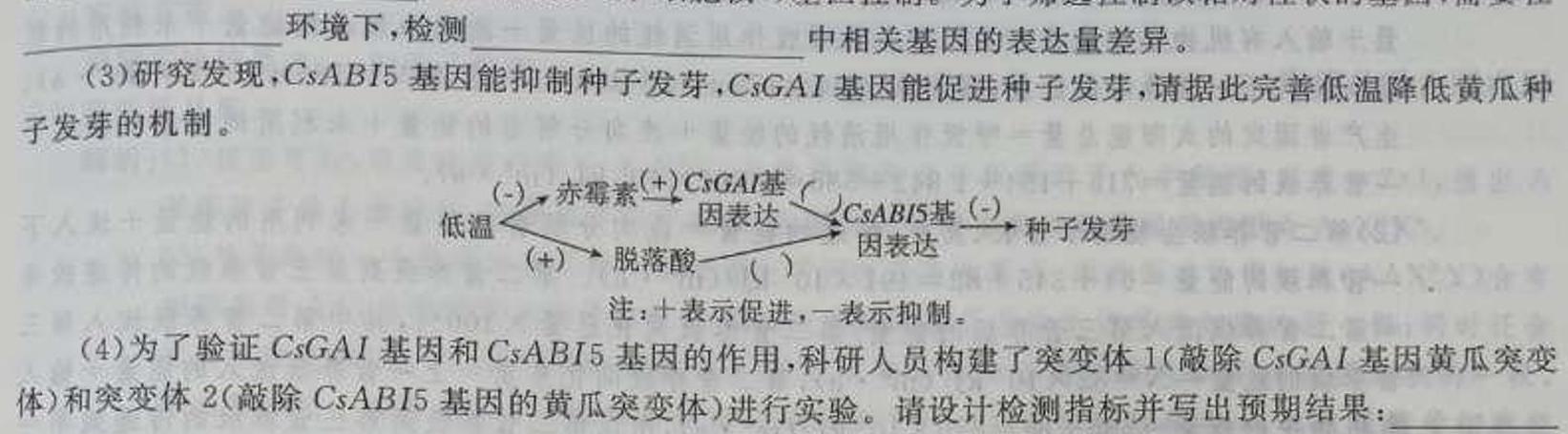 四川省普通高中2023-2024学年度高二11月联考生物