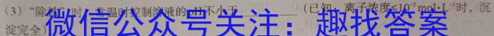 q安徽省2023~2024学年度九年级阶段质量检测（三）化学