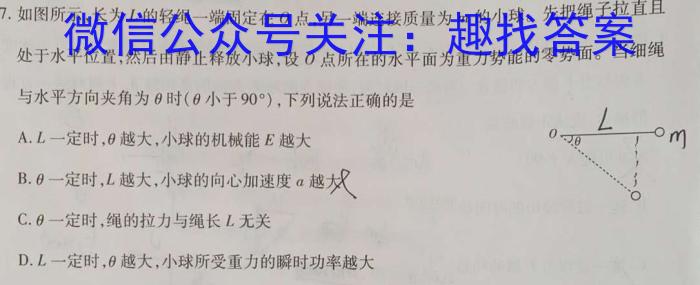 云南省2025届高二11月联考（期中考试）物理`