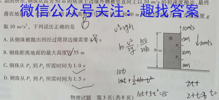 青桐鸣 2024届普通高等学校招生全国统一考试 青桐鸣大联考(高三)(11月)l物理