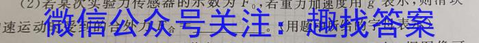 红河州一中2023年秋季学期高二十月月考物理`