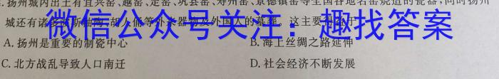 河南省2023-2024学年度九年级第一学期阶段性测试卷(二)历史试卷