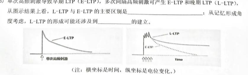 河北省2023-2024学年第一学期高一年级期中考试生物