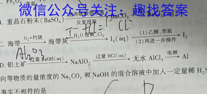 q2023-2024学年辽宁省高三考试11月联考(24-131C)化学