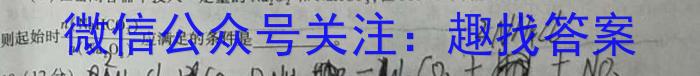 q甘肃省2023-2024学年高一第一学期联片办学期中考试(11月)化学