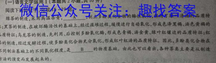 陕西省2023年秋季学期高一期中考试（241224Z）语文