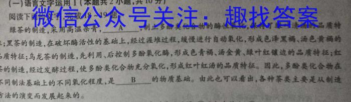 河南省2023-2024学年度九年级上学期期中综合评估【2LR】语文