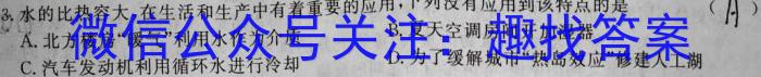 陕西省2024届高三期中测试(24-162C)f物理