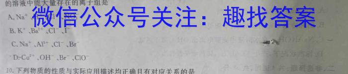 q河南省2023-2024学年度九年级第一学期学习评价（1）化学