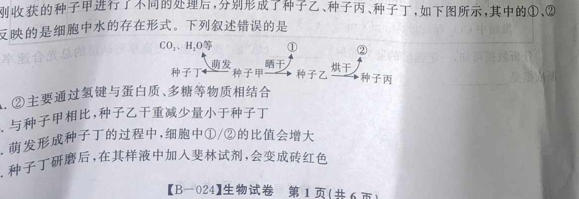 河北省24届九校联盟高三期中(24-136C)生物