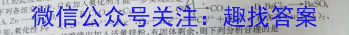 3安徽第一卷·2023-2024学年安徽省七年级教学质量检测(12月)化学试题