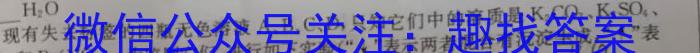 q名校联盟·贵州省2023-2024学年度秋季学期七年级（半期）质量监测化学