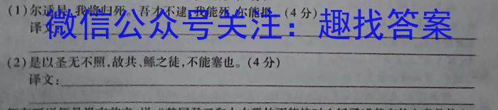 江西省2023一2024学年九年级高效课堂练习（二）语文