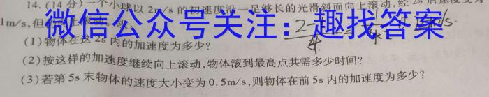 潍坊市2023-2024学年上学期高三期中考试(2023.11)l物理