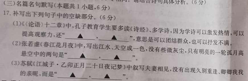 河北省2023-2024学年高二上学期期中考试(人形图标 HEB)语文