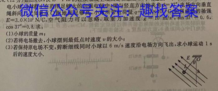 青桐鸣 2024届普通高等学校招生全国统一考试 青桐鸣大联考(高三)(11月)物理`