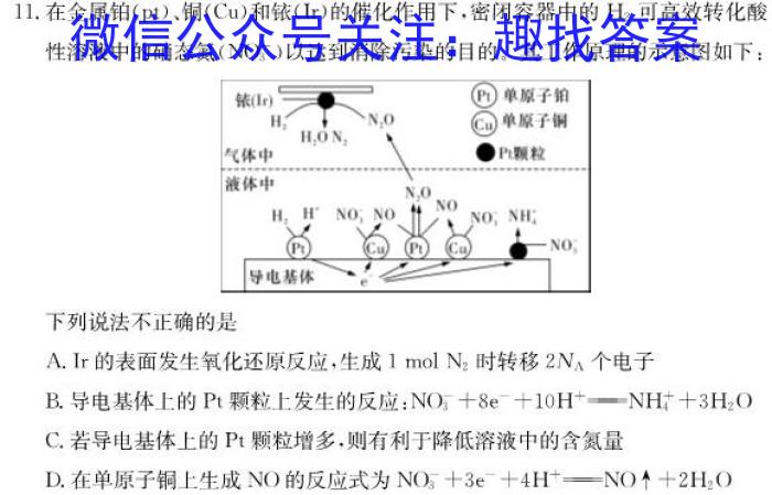 q山东省潍坊市2023-2024学年高二上学期期中质量监测化学