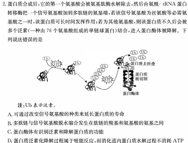 [郴州一模]郴州市2024届高三第一次教学质量监测生物