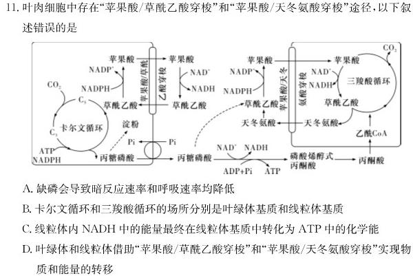 安徽省2023~2024学年度届九年级阶段诊断 R-PGZX F-AH(二)2生物