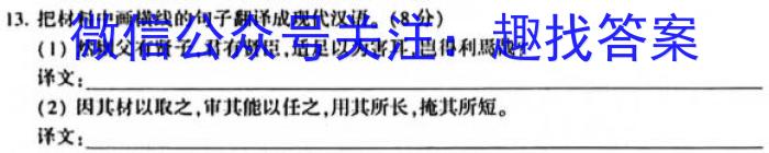 河南省2023~2024学年度九年级综合素养评估R-PGZX C HEN(一)1语文