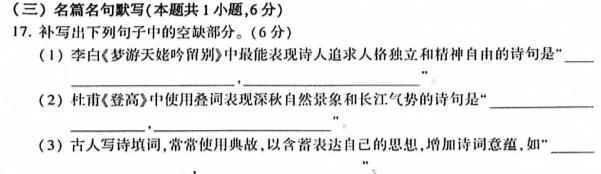 [今日更新]芜湖市2023-2024学年度高一年级第一学期期中普通高中联考试卷语文