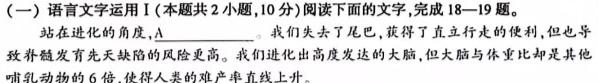 [今日更新]九师联盟 2024届高三11月质量检测(X)语文试卷答案