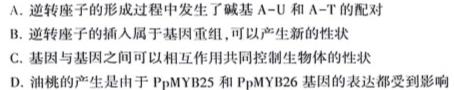 2023~2024学年山西省高一期中联合考试(24-145A)生物