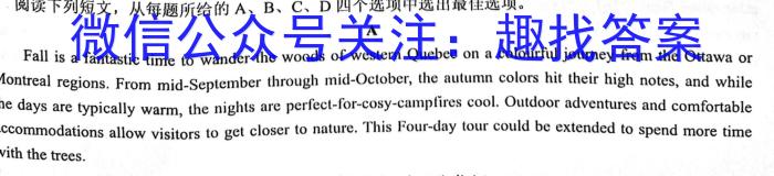 2024届高三11月大联考（全国乙卷）英语