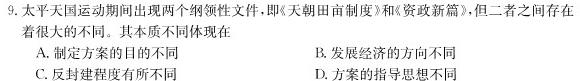 河南省2023~2024学年度九年级综合素养评估(三)R-PGZX C HEN历史