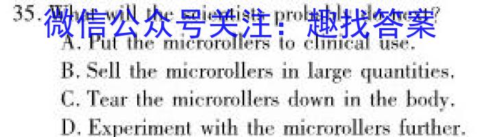 2024届河北省高三考试10月联考(24-126C)英语