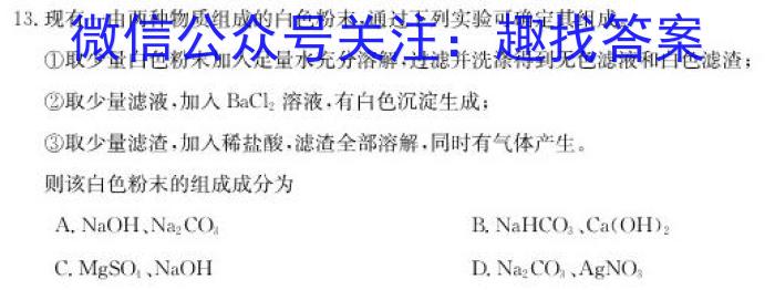 q陕西省2023-2024学年度九年级第一学期第三阶段创新作业化学