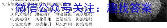 山西省2023~2024上学年九年级期中阶段评估卷(24-CZ31c)&政治