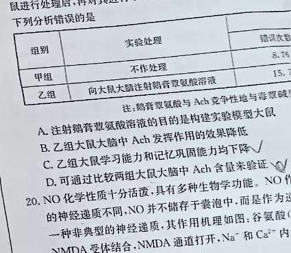 2023年秋 荆、荆、襄、宜四地七校考试联盟 高二期中联考生物