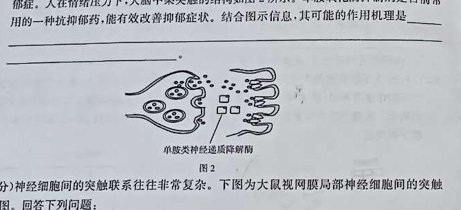 贵州省2023-2024学年高三10月月考生物