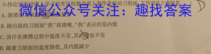 2023年湖北省孝感市高二11月期中考试物理`