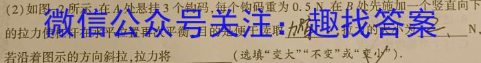 安徽省2023-2024学年度八年级教学质量检测（11.8）l物理
