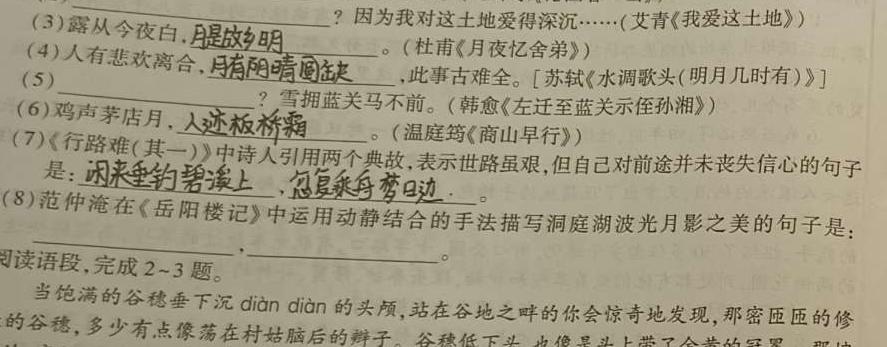 [今日更新]智慧上进 2024届高三11月一轮总复习调研测试语文试卷答案