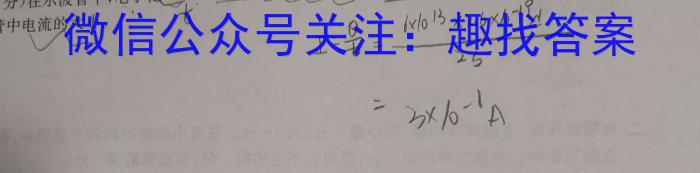 九师联盟2024届高三10月质量检测巩固卷XGq物理