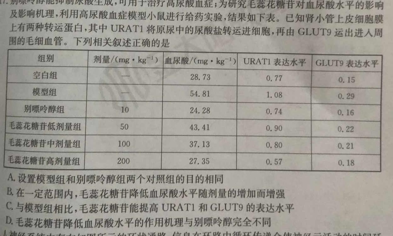 九师联盟·2024届高三10月质量检测巩固卷(LG）生物