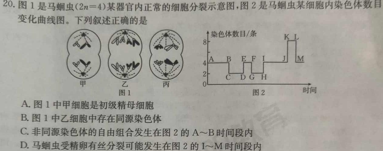 内蒙古2023-2024学年高三11月联考(♡♡)生物