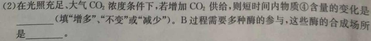 安徽省2023-2024学年度第一学期九年级阶段性评价（11月）生物